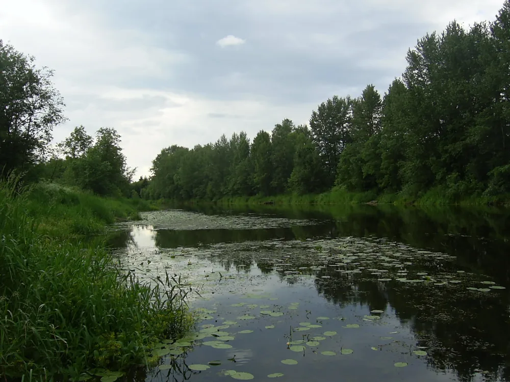 Селижаровка