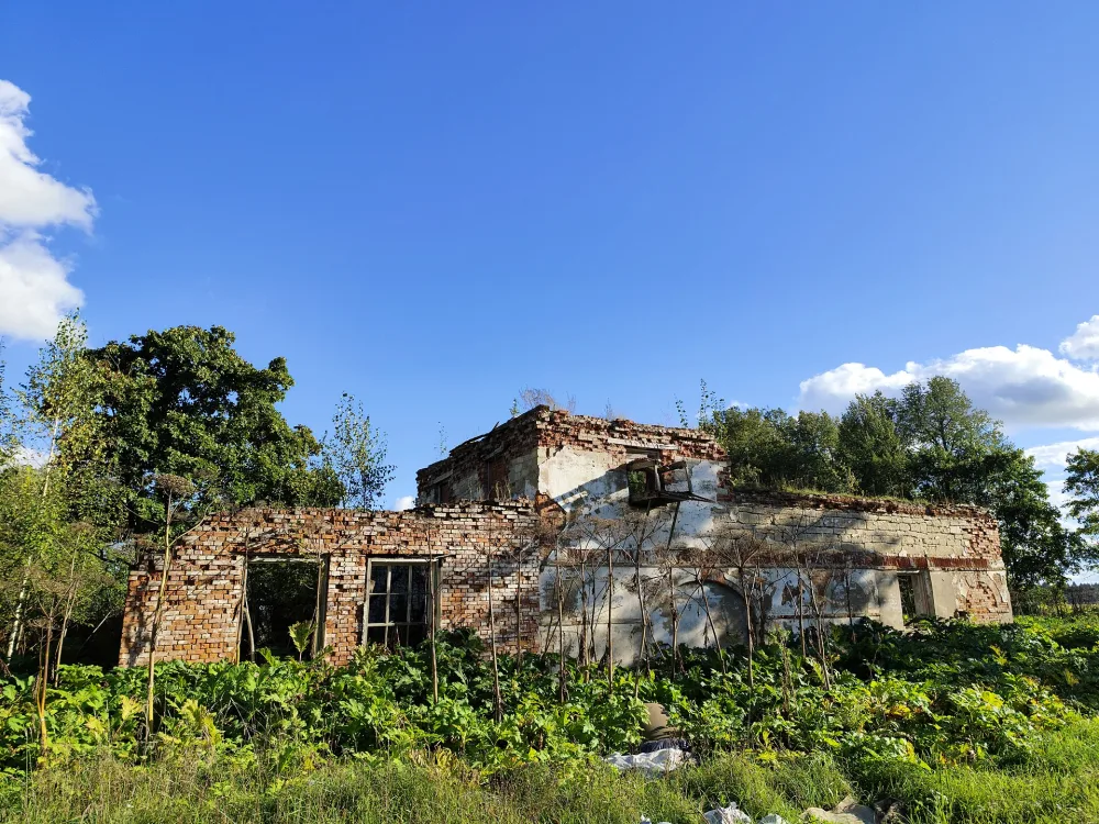 Каретник (Курковицы)