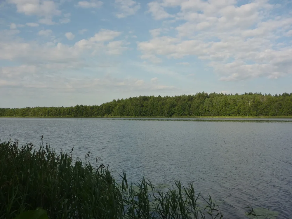 Заборное