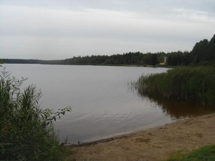 Долгое (озеро, Московская область)