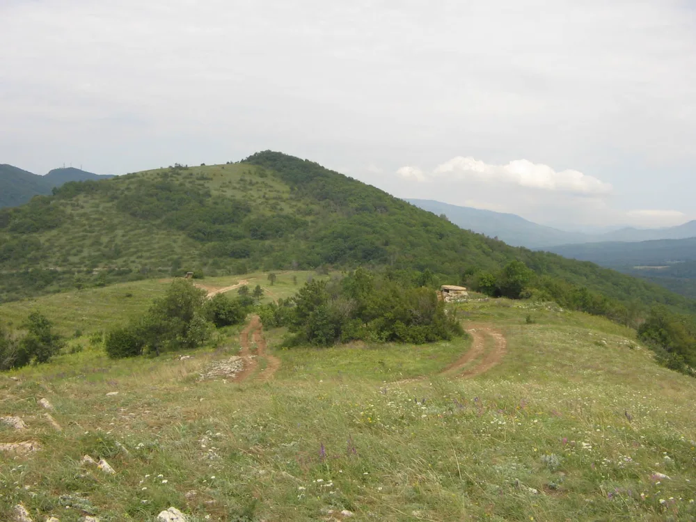 Нексис