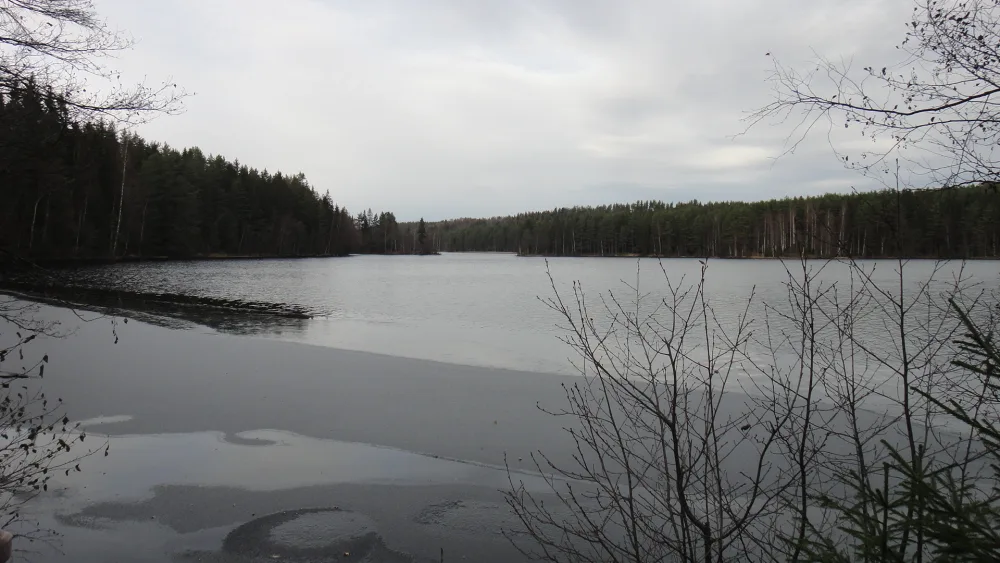 Длинное