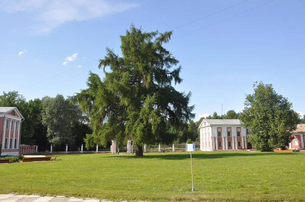 Парк (Ярополец)