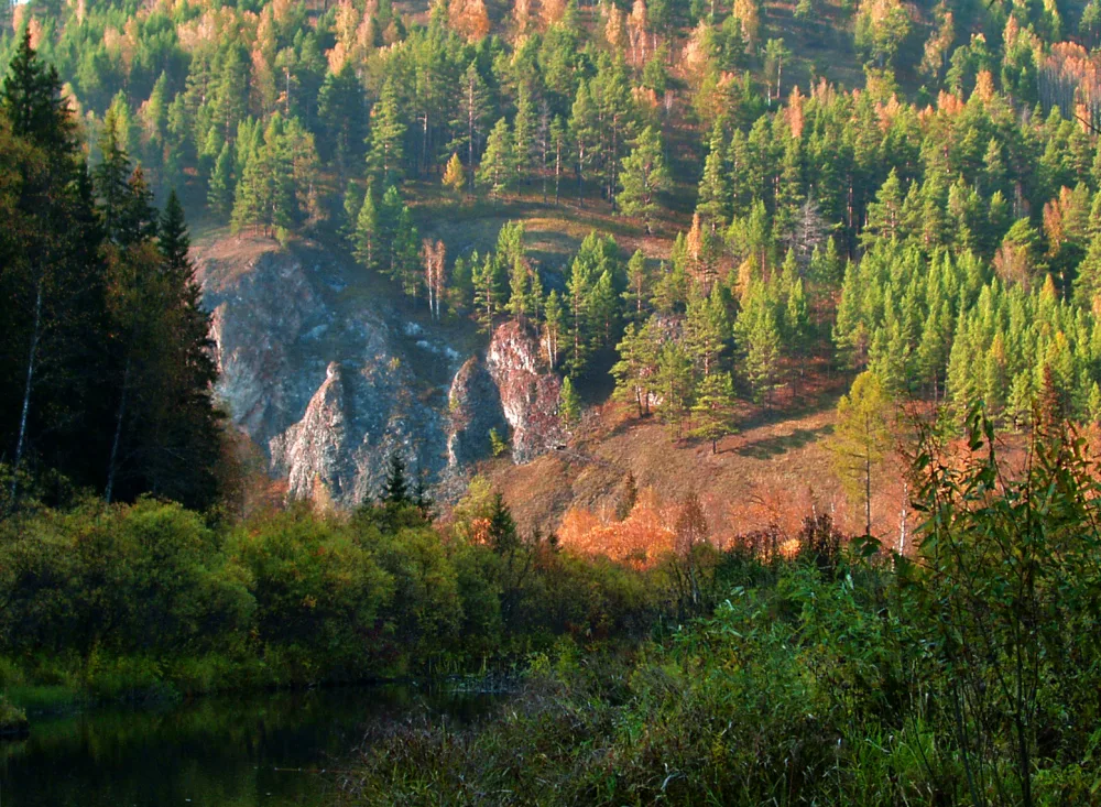 Базаиха