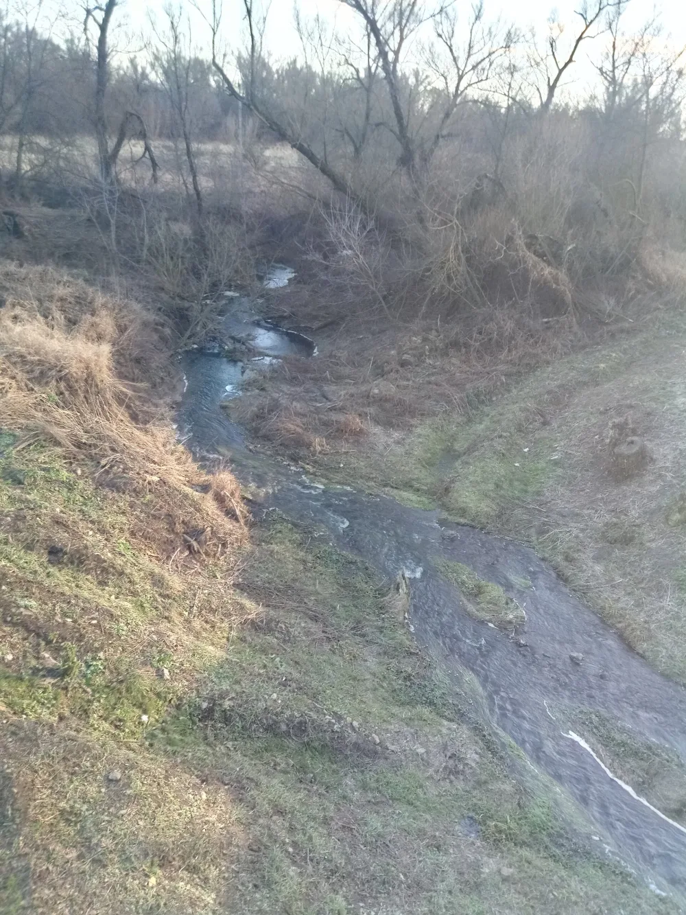 Погарщина