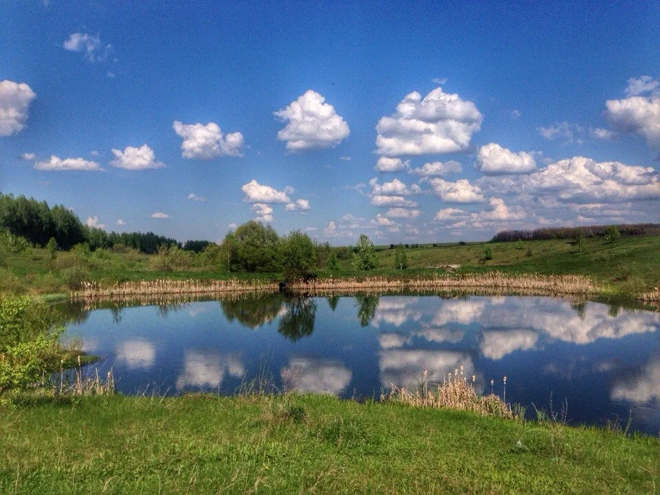 Семенек