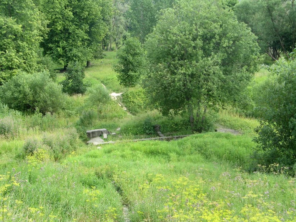 Сад (Красное Село)