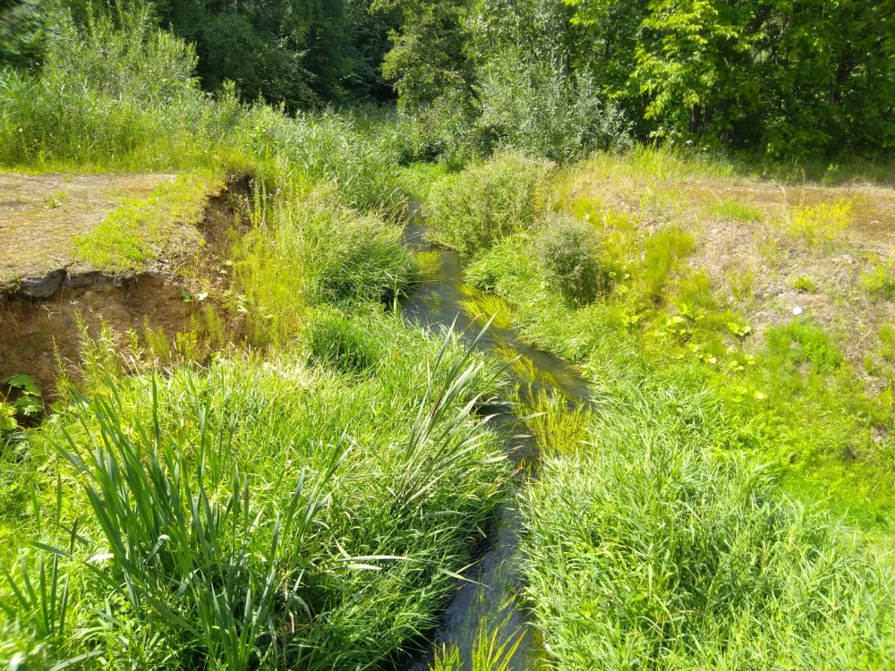 Икша