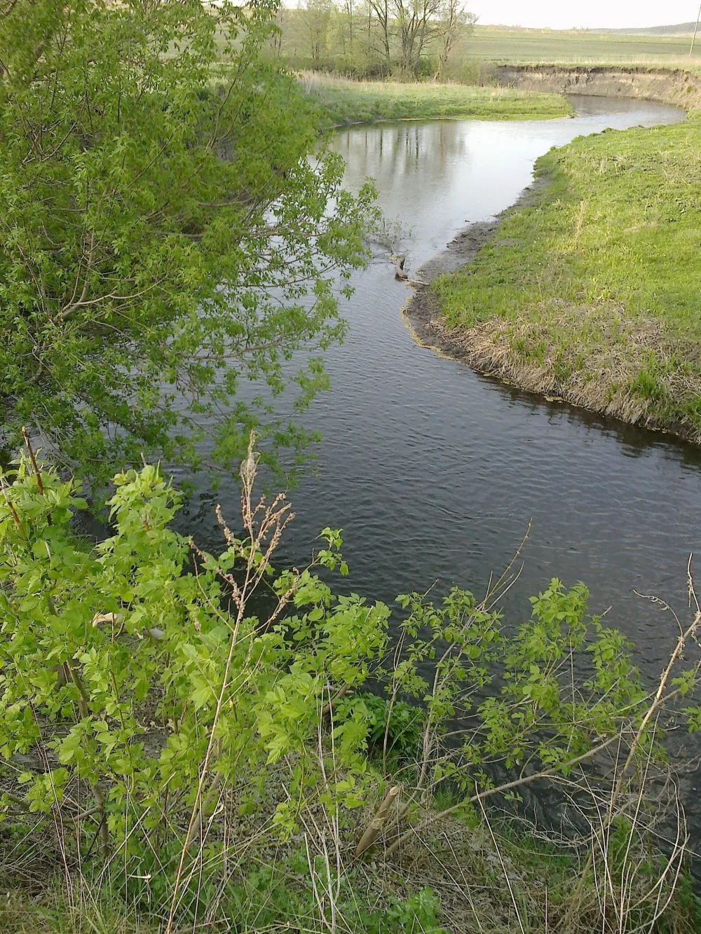 Урень
