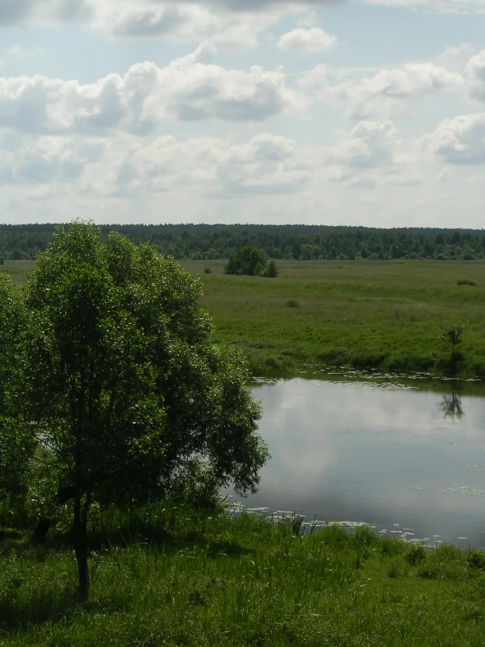 Шерна