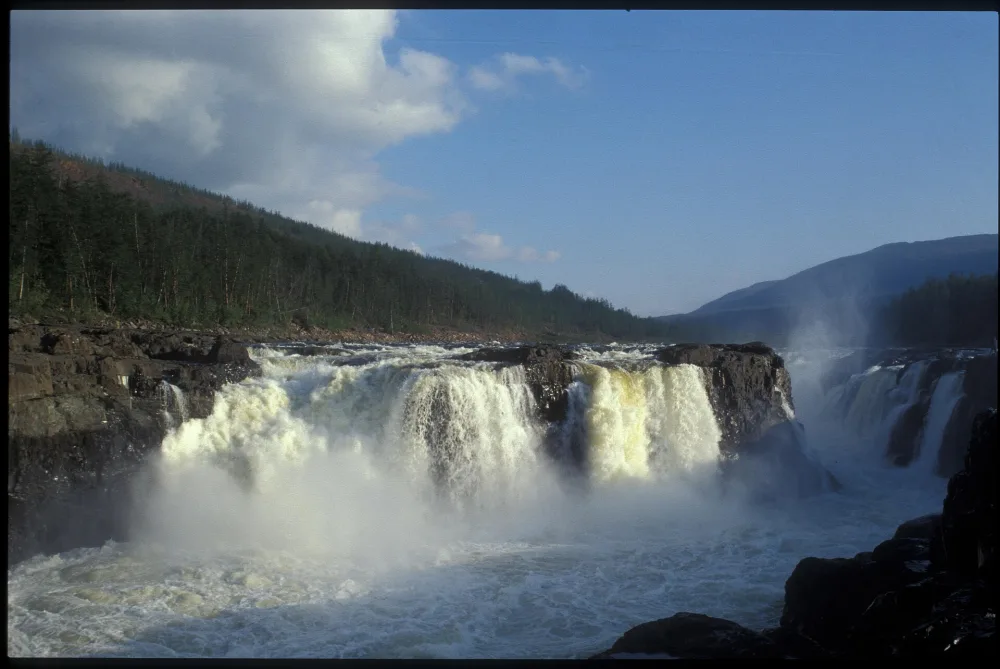 Курейка