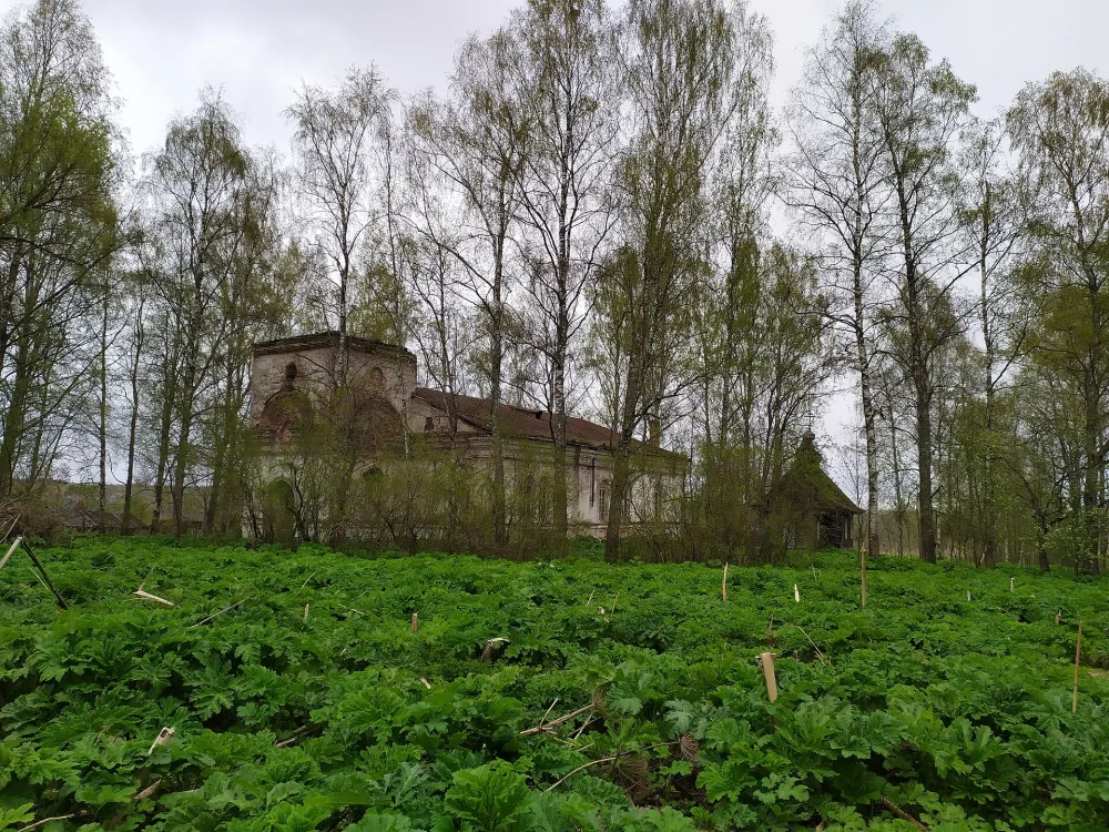 Церковь Тихвинская (Парфеново)