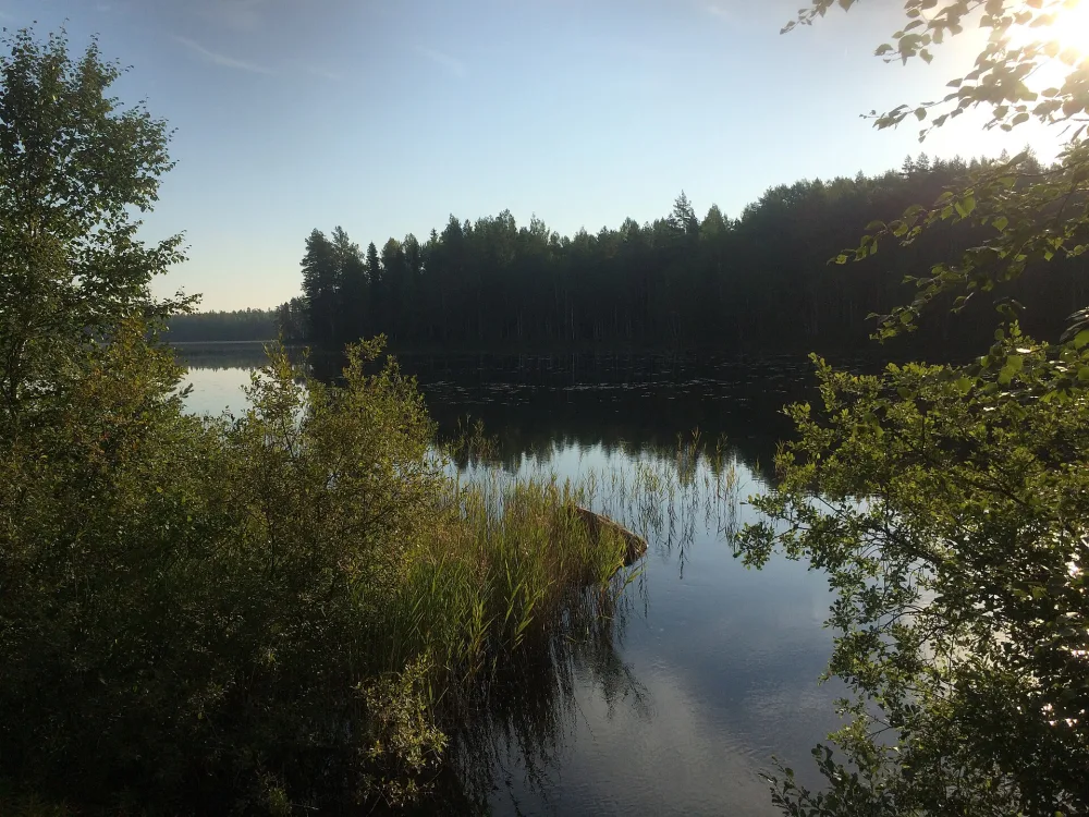 Хейняйоки