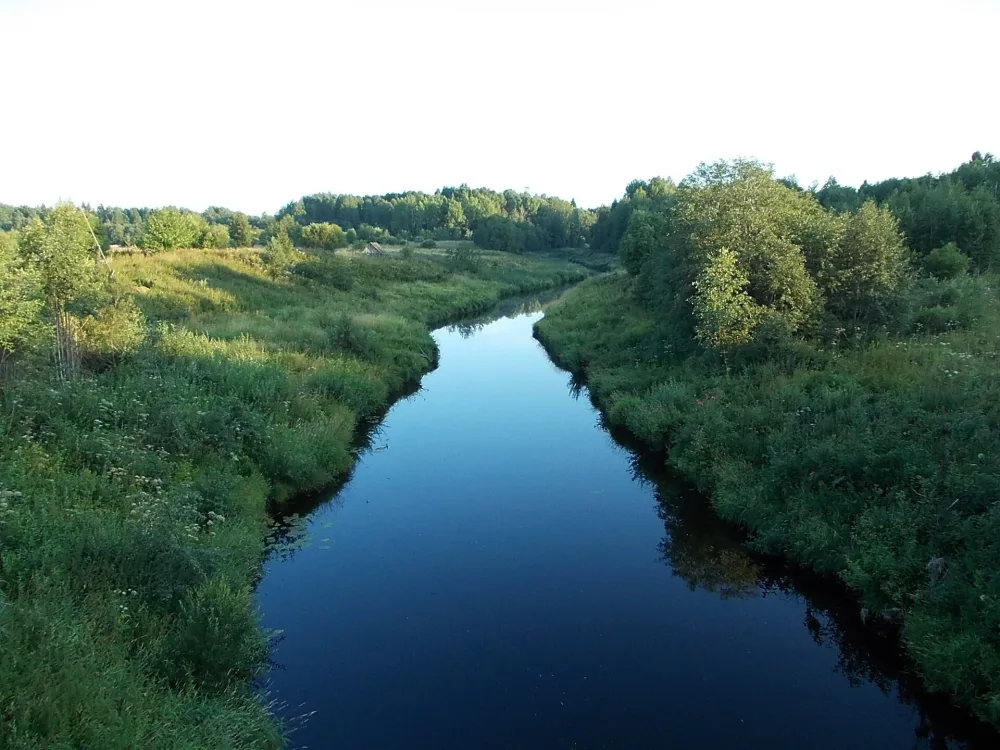 Воронежка