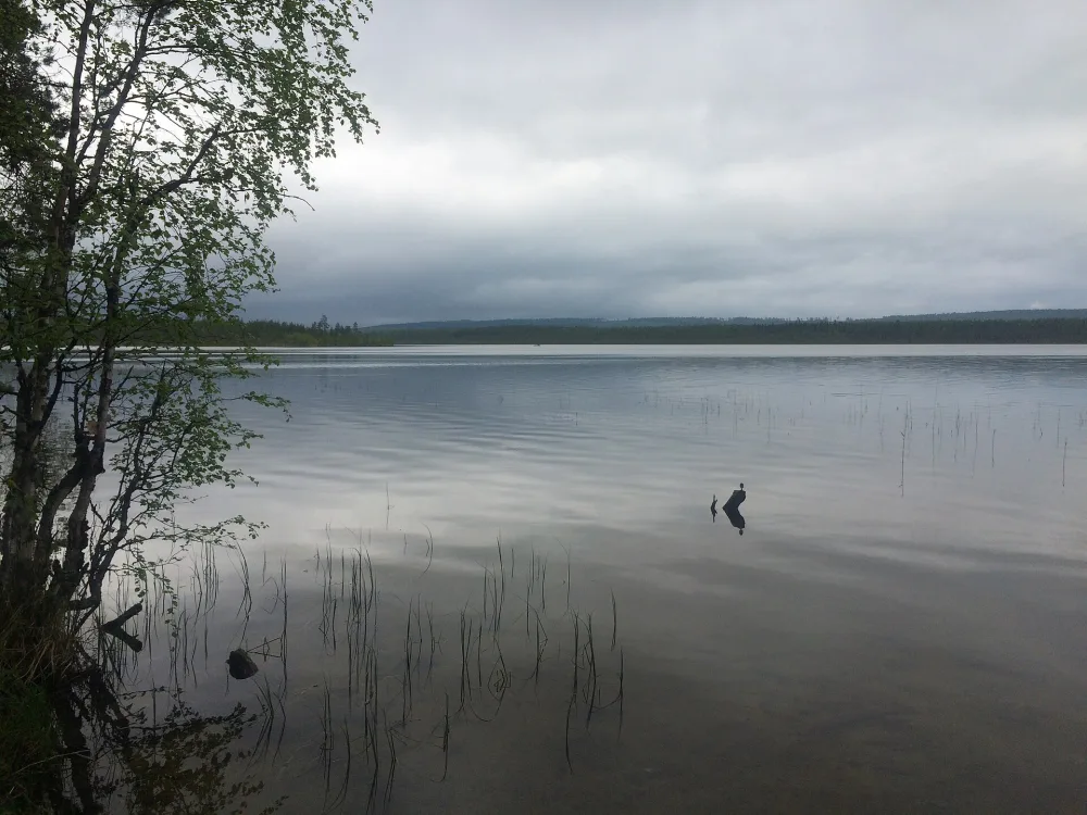 Куйваярви