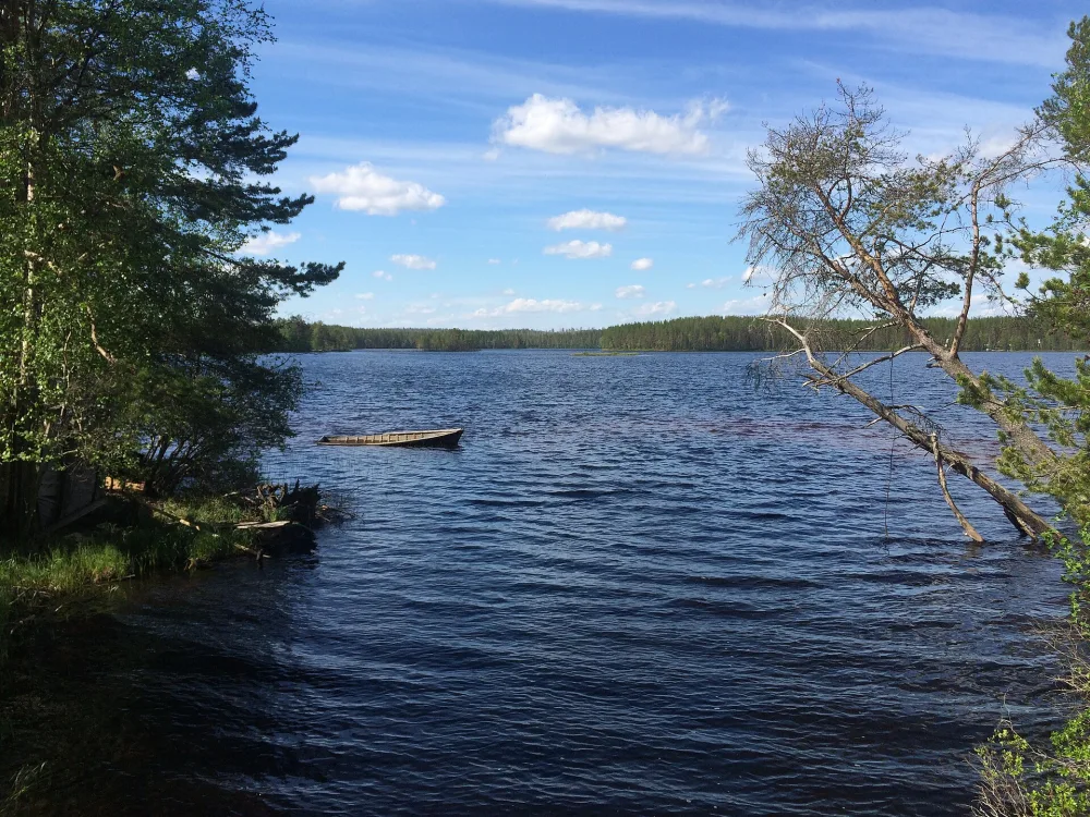 Вонгозеро (озеро, Костомукшский городской округ)