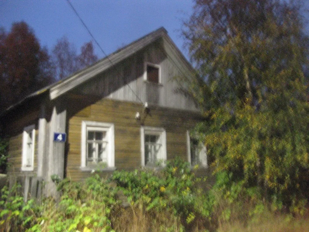Дом Треневых (Онега)