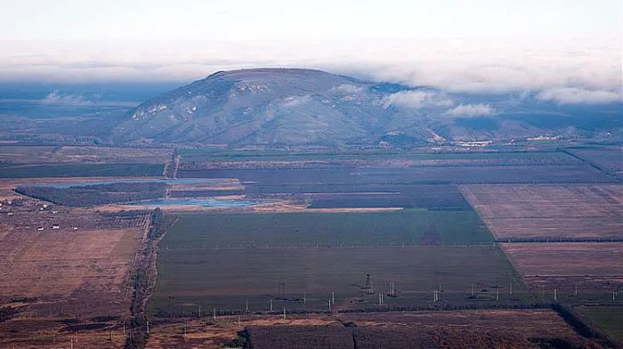 Лысая