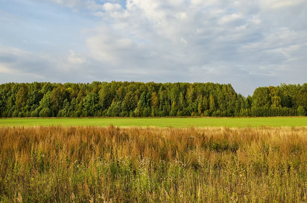 Парк (Красный Двор)