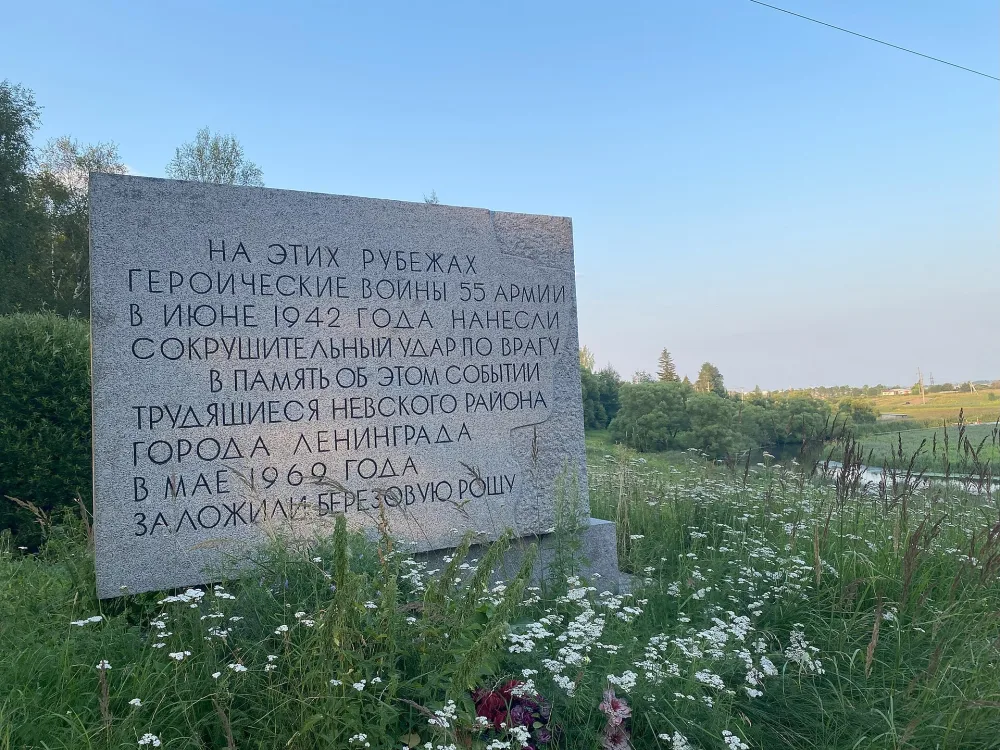 Ижорский рубеж