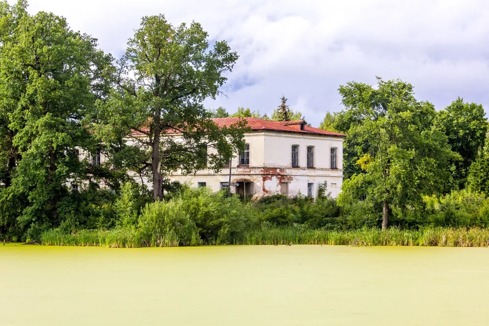 Больница (Рогожинский)
