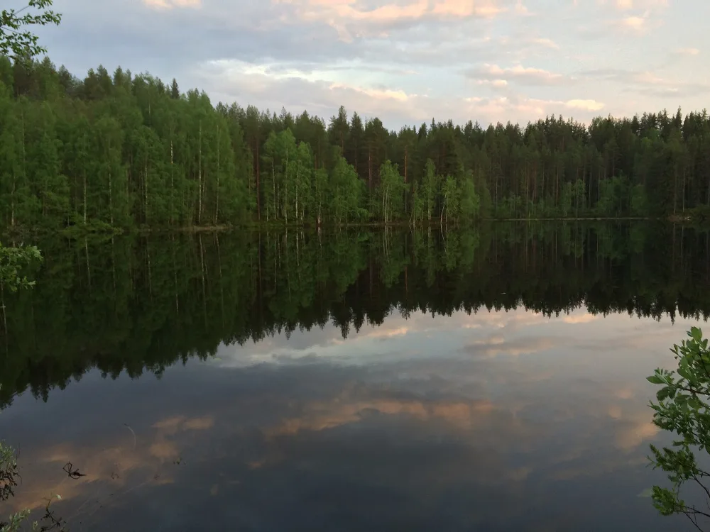 Лоут