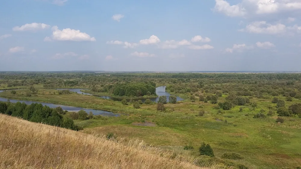 Ворона