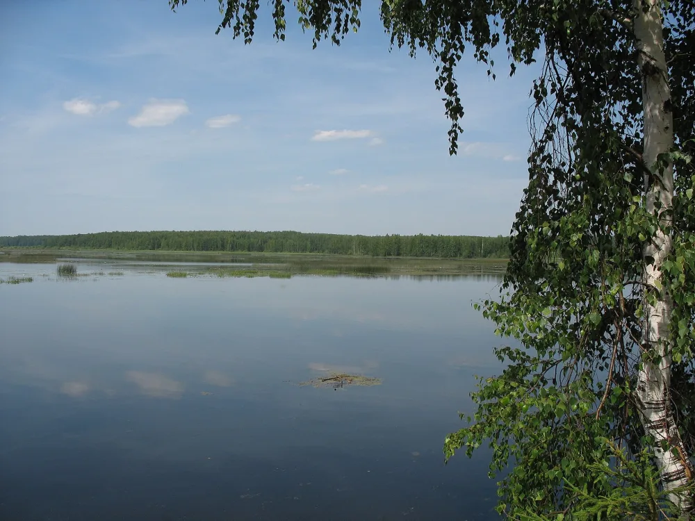 Мера