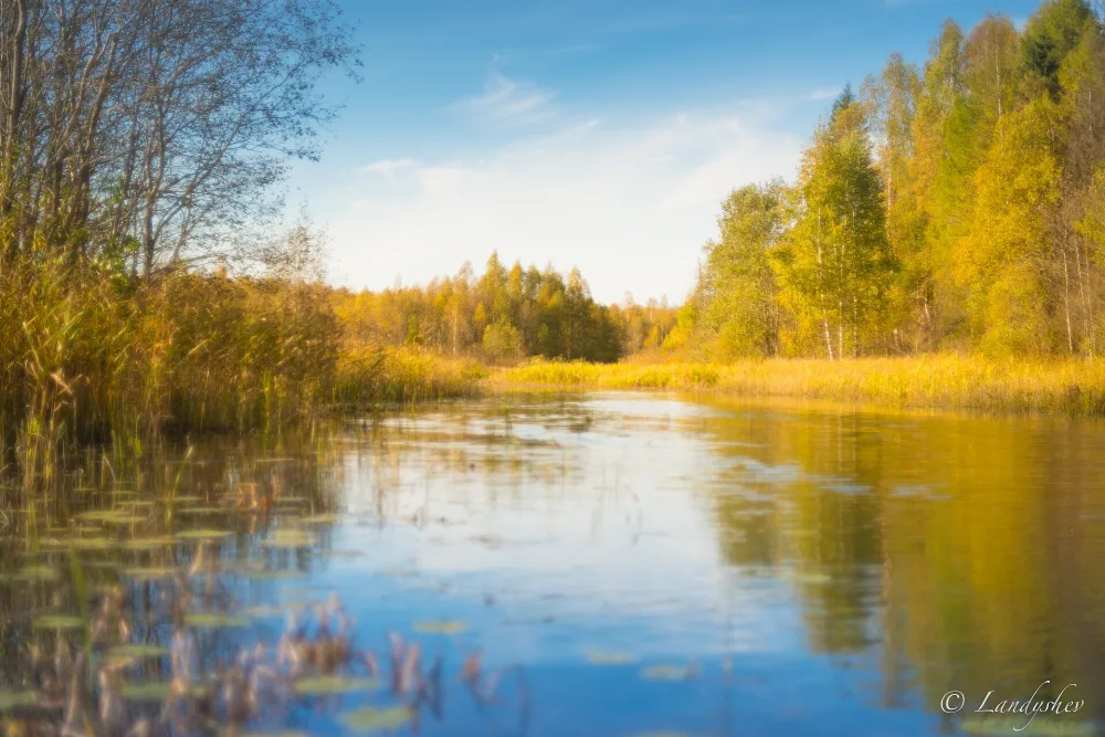 Рудинка