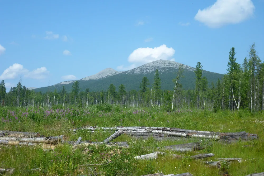 Сосьвинский Камень