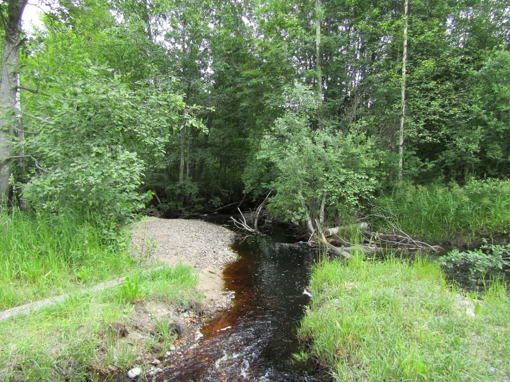 Орзега