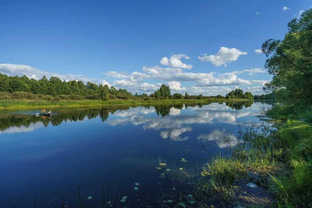 Лух