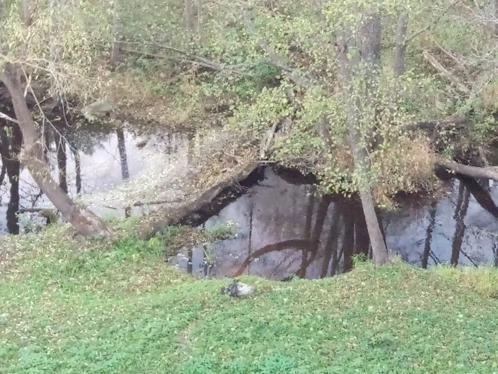Ремежь