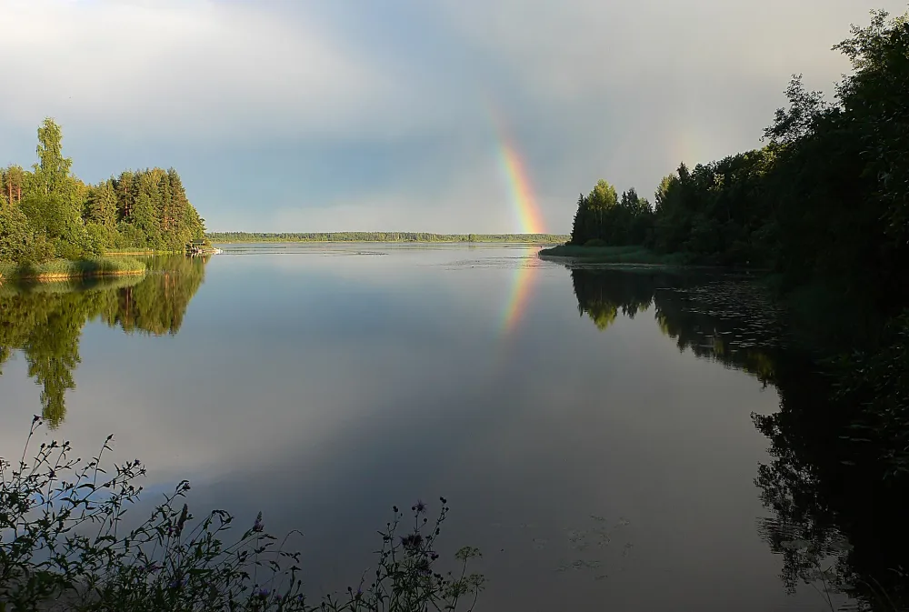Кубрь