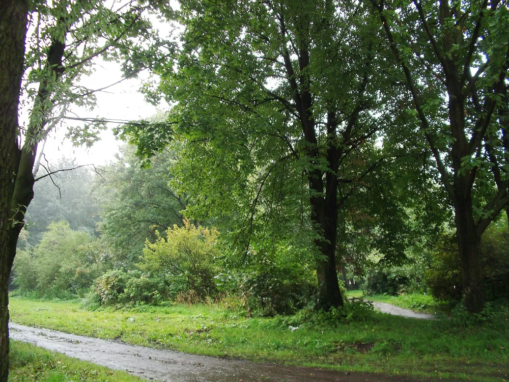 Сад Молво (Молвинский сад)