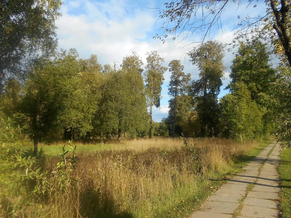 Парк (21 га) (Батово)