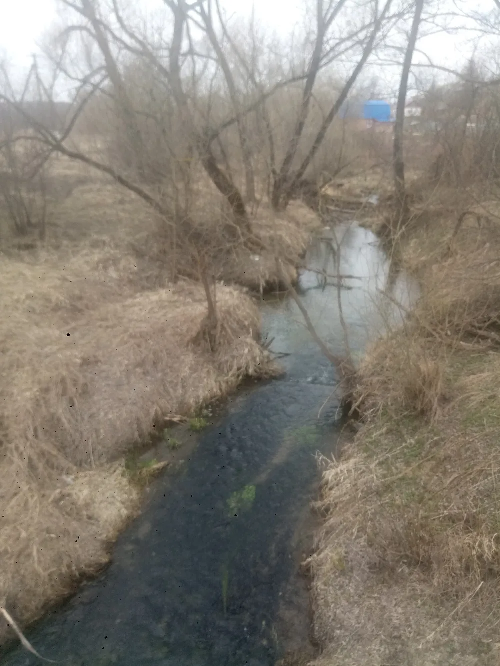 Ватца