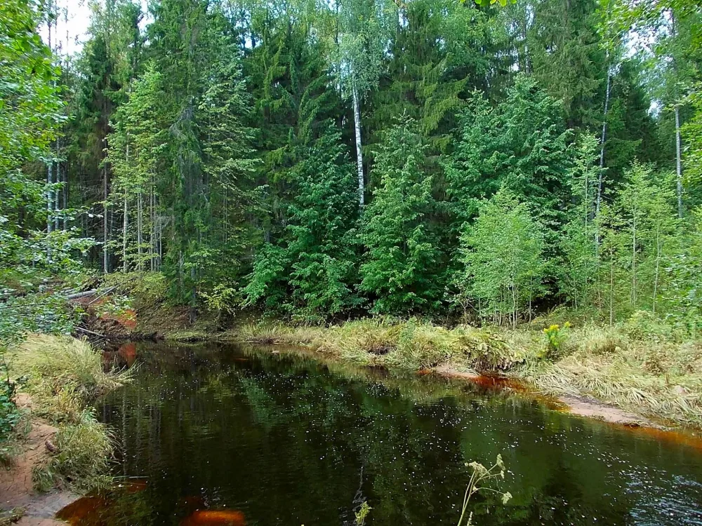 Лутинка