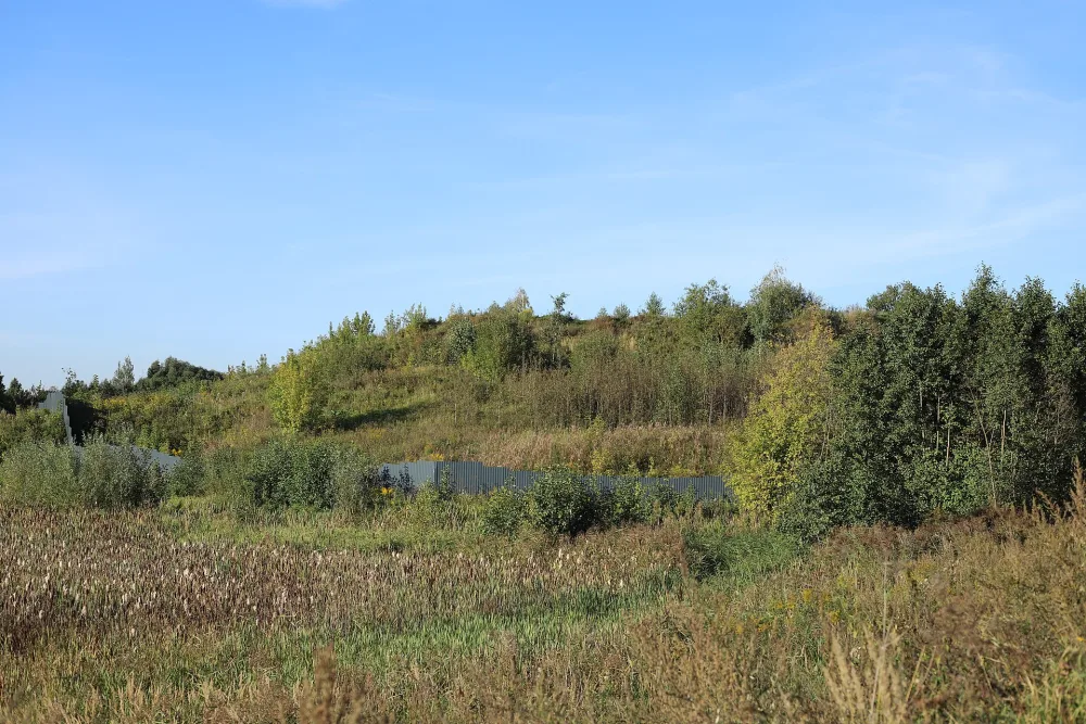 Городище «Щербинское» («Конопелковское») (Щербинка)
