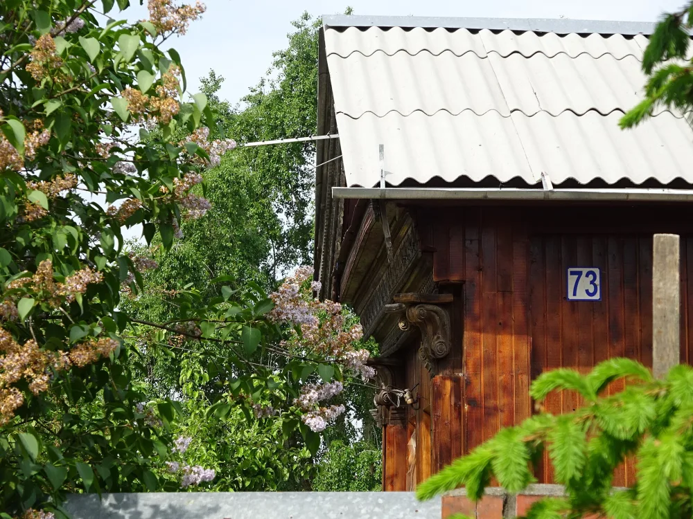 Дом Борониной (Мячково)