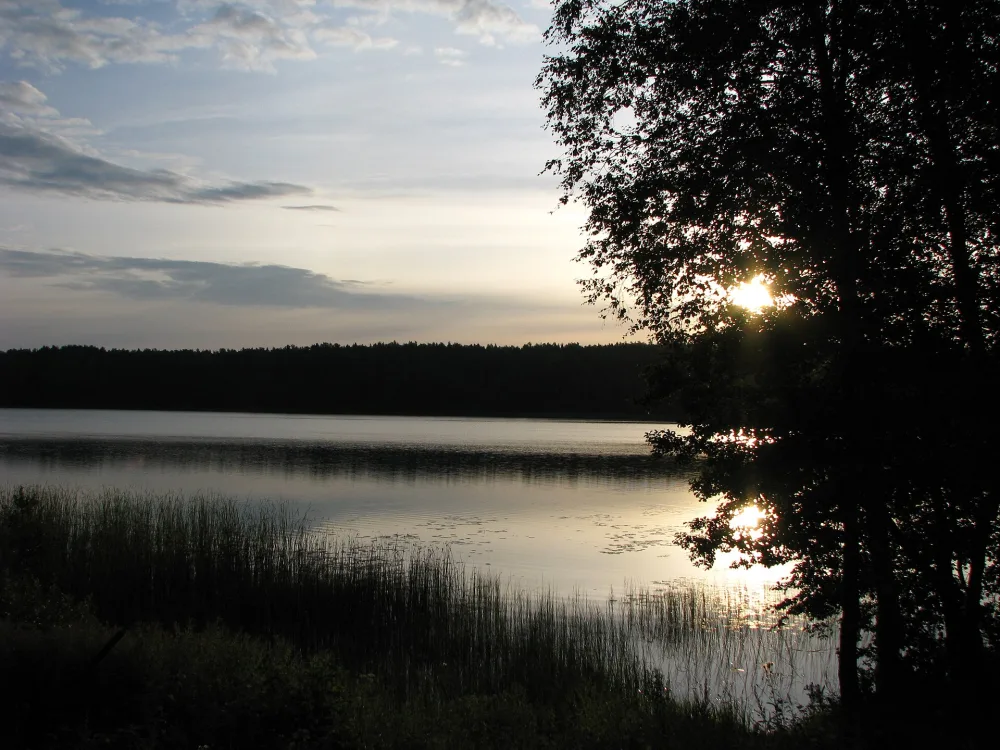 Невель