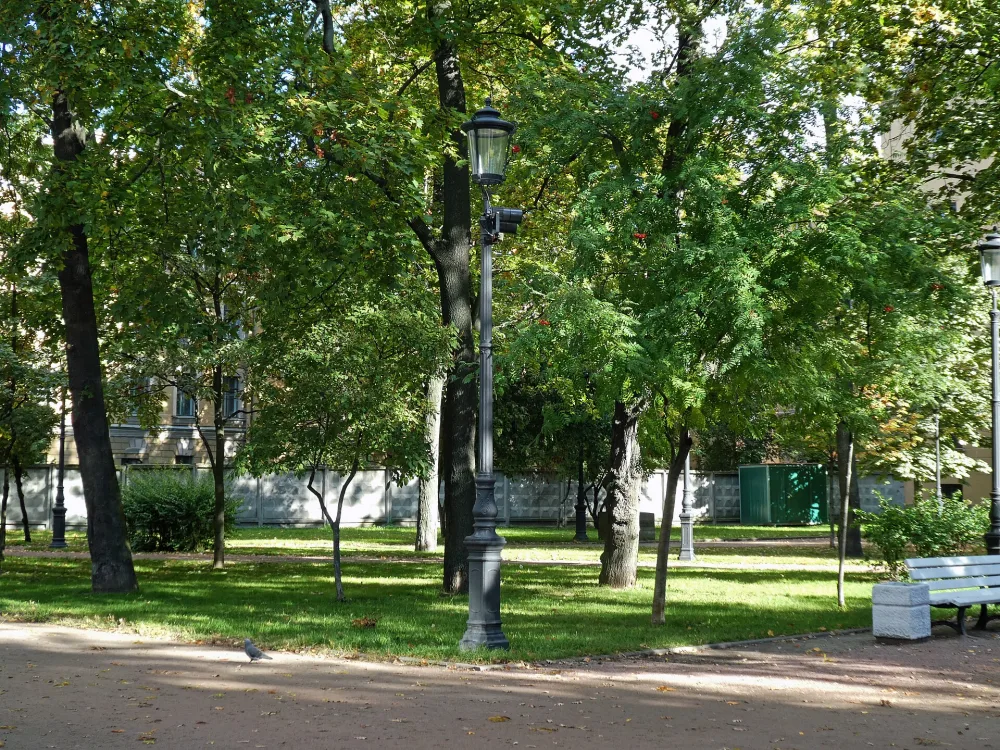 Сад