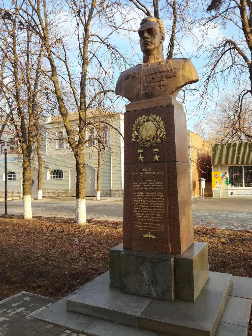 Бюст дважды Героя Советского Союза Е.Н. Ефимова