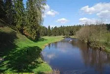Парица