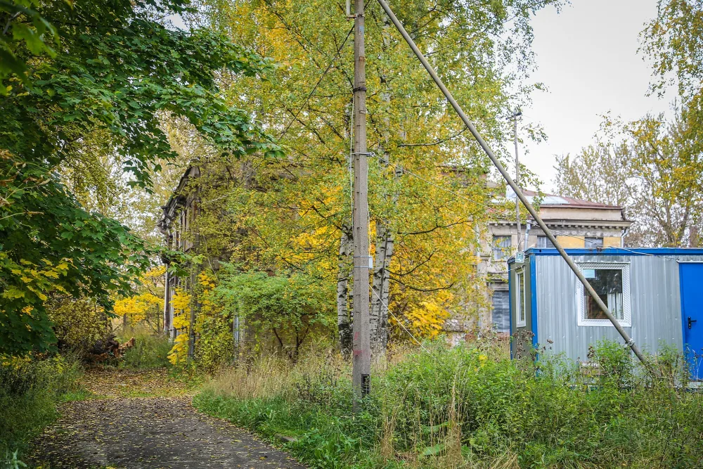 Сад