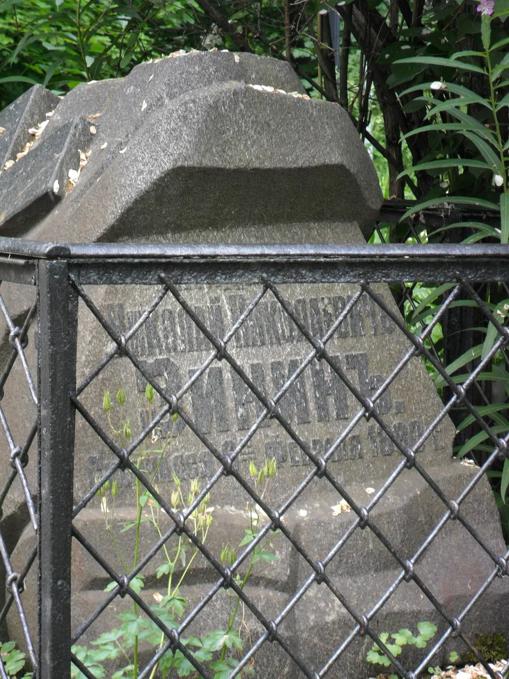 Могила Н.Н. Зинина (1812-1880), химика