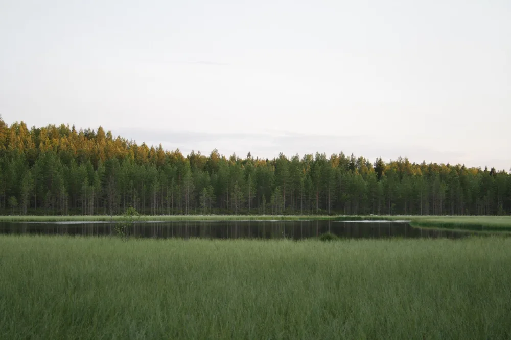Денное