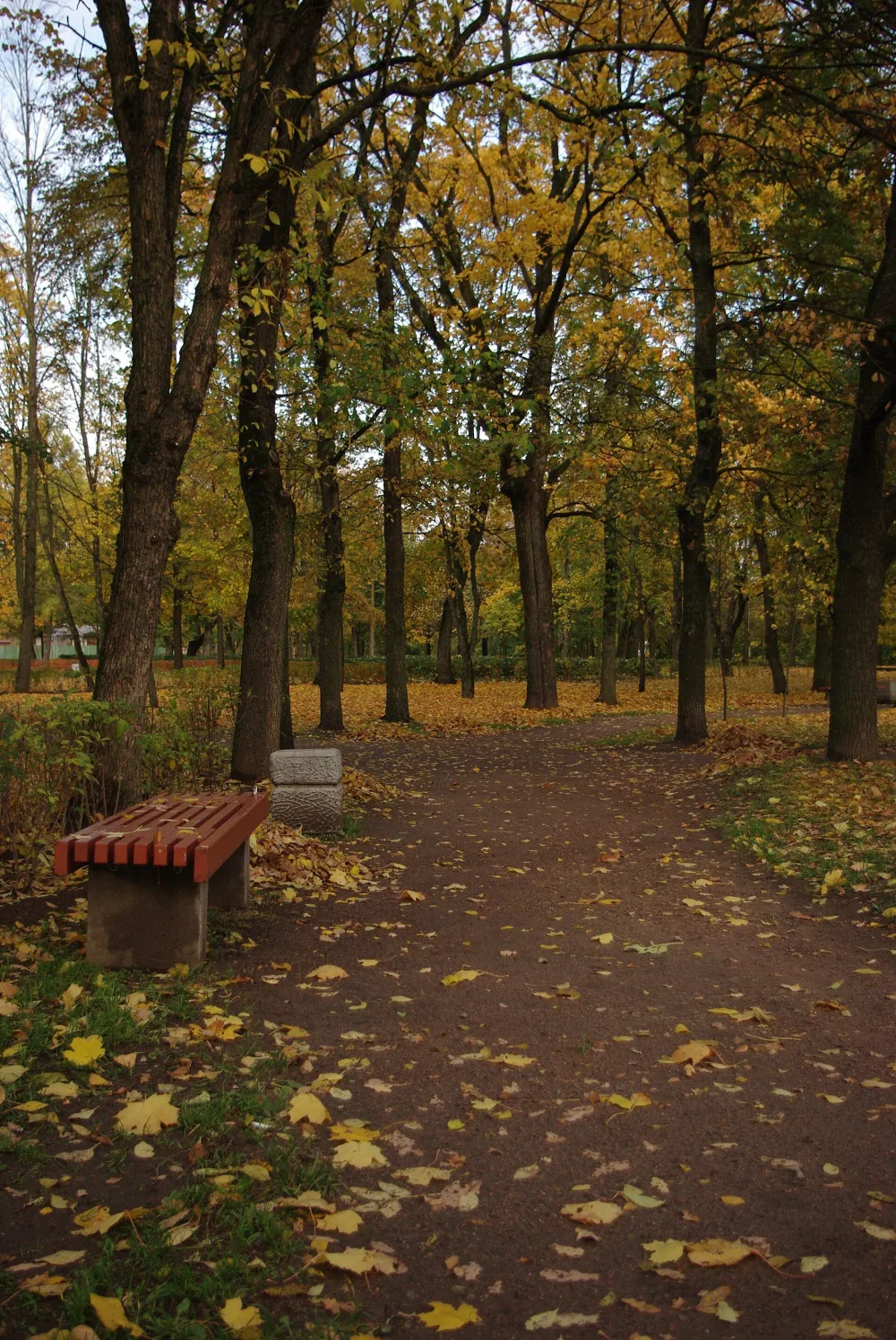 Парк «Дворцовый» (Красное Село)
