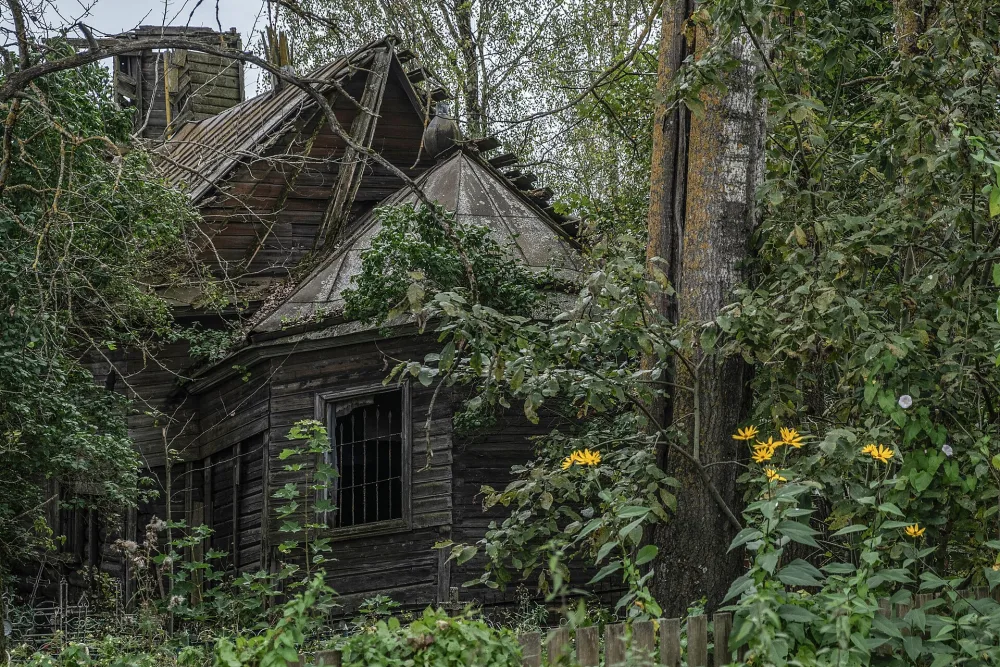 Церковь Николая Чудотворца (деревянная) (Заозерье (Дзержинское с/п))