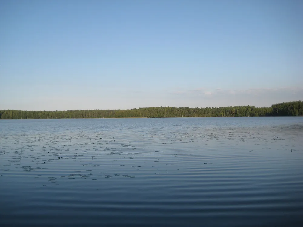 Сарженское